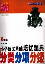 小学语文培优题典 分类分项分级 六年级