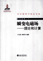 瞬变电磁场 理论和计算