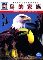 鸟的家族