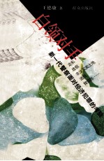 白领对手:新一代警察面对经济犯罪的考验