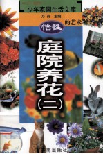 怡性的艺术 庭院养花 2