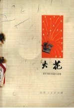 火花 惠民地区短篇小说集