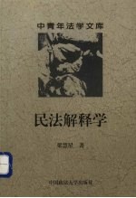 中青年法学文库 民法解释学 修订版