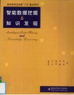 智能数据挖掘与知识发现