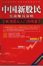 中国新股民实战赚钱策略