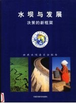 水坝与发展 决策的新框架