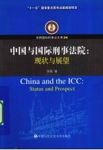 中国与国际刑事法院 现状与展望