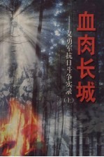血肉长城:义勇军抗日斗争实录 下