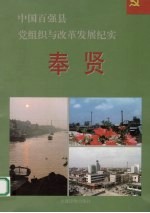 中国百强县党组织与改革发展纪实 奉贤分册