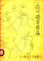 淅川县医药志