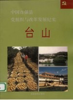 中国百强县党组织与改革发展纪实 台山分册