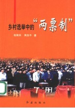 乡村选举中的“两票制”