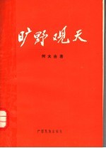 旷野观天 建设有中国特色的社会主义的探索与思考