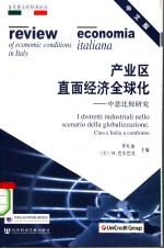 产业区直面经济全球化 中意比较研究
