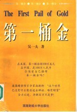 第一桶金
