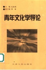 青年文化学导论