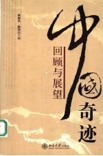 中国奇迹 回顾与展望