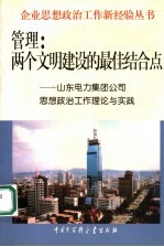 管理:两个文明建设的最佳结合点 山东电力集团公司思想政治工作理论与实践
