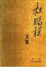 杜鹏程文集 第2卷