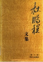 杜鹏程文集 第3卷