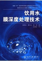 饮用水膜深度处理技术