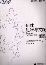 团体:过程与实践