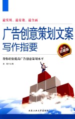 广告创意策划文案写作指要