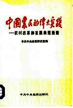 中国农民的伟大实践 农村改革和发展典型经验