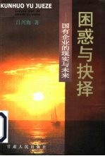 困惑与抉择 国有企业的现实与未来