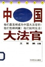 中国大法官