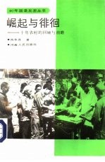 崛起与徘徊 十年农村的回顾与前瞻