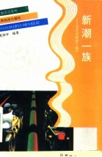 新潮一族 当代中国的个体户