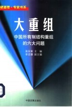 大重组 中国所有制结构重组的六大问题