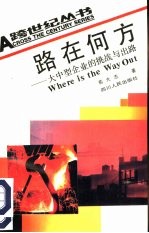 路在何方 大中型企业的挑战与出路