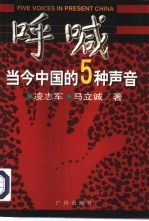 呼喊 当今中国的5种声音