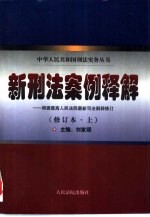 新刑法案例释解 根据最高人民法院最新司法解释修订