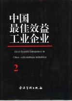 中国最佳效益工业企业 2