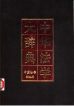 中华法学大辞典 诉讼法学·增补本