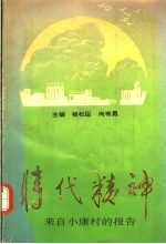 时代精神 来自小康村的报告