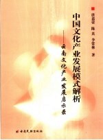 中国文化产业发展模式解析 云南文化产业发展启示录
