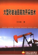 大型砂岩油田高效开采技术