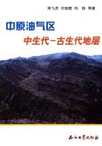 中原油气区中生代-古生代地层