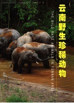 云南野生珍稀动物
