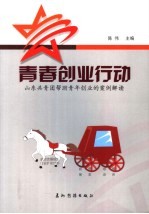 青春创业行动 山东共青团帮助青年创业的案例解读