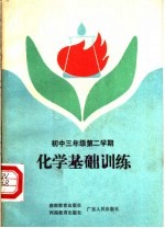 化学基础训练 初中三年二期
