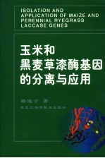玉米和黑麦草漆酶基因的分离与应用