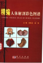 精编人体解剖彩色图谱 中英文本