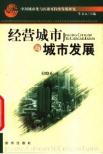 中国城市化与区域可持续发展研究 经营城市与城市发展