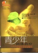 青少年团体治疗 认知行为互动取向