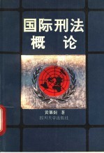 国际刑法概论